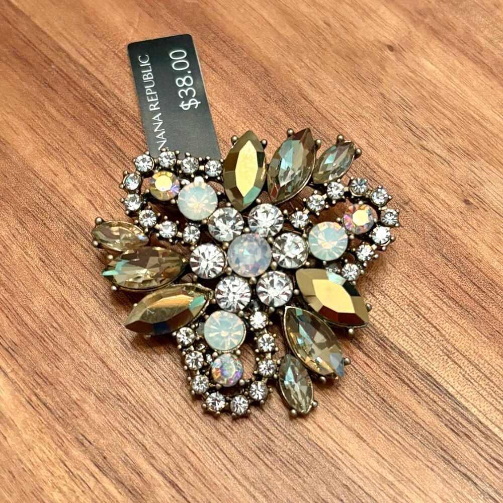 Banana Republic | Iridescent Brooch | 1 3/4” Length